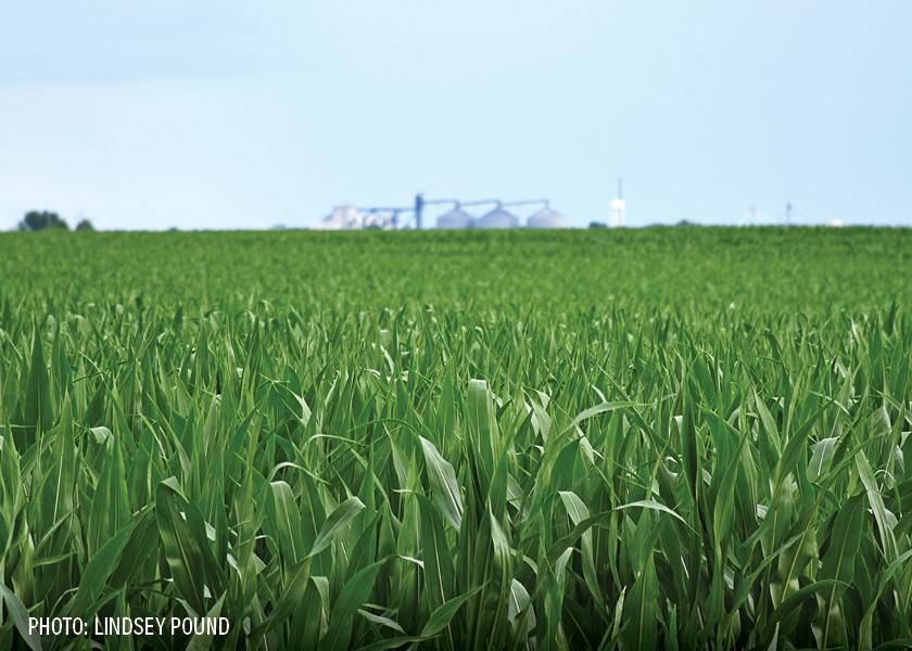 CornforEthanol Use Slightly Below Expectations AgWeb